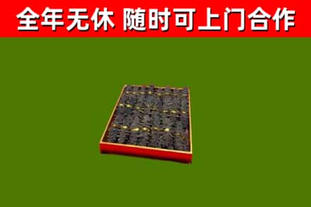 宁津回收海参